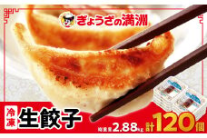 冷凍生餃子10パック(120個)　ぎょうざの満洲【1238201】