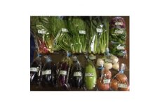 こだわりの”炭素循環農法”で育てた「旬の有機野菜詰合せ」【1246834】