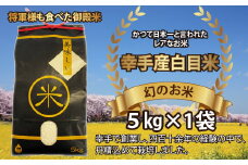 【令和6年産米】幻のお米 日本一美味 と言われた 白目米 5kg