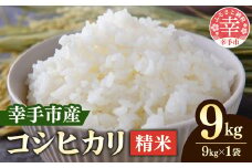 令和６年産　埼玉県幸手市権現堂産お米　精米９kgコシヒカリ- コシヒカリ こしひかり 2024年度産 精米 9kg 桜の名所 埼玉県 幸手市 権現堂産 おすすめ【価格変更X】 