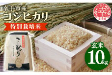 【令和6年産】有機肥料100％ 埼玉県幸手市産特別栽培コシヒカリ 玄米10kg -2024年10月1週目より順次発送 新米発送 コシヒカリ こしひかり 米 玄米 10kg 有機肥料 特別栽培幸手市産 埼玉県 幸手市【価格改定】