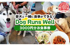 ”愛犬と伴にお食事” 「Dog Runs Well・ドッグパーク幸手店舗」お食事券 - チケット お食事券 カフェ 食事 ドッグカフェ ドッグラン 愛犬  犬 犬用おやつ おやつ Dog Runs Well ドッグランズウェル 埼玉県 幸手市 