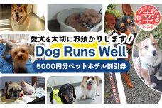 「愛犬の宿」ペットホテル宿泊利用券 - チケット ペットホテル 宿泊券 割引券 預かりサービス 愛犬 犬 Dog Runs Well ドッグランズウェル 埼玉県 幸手市 