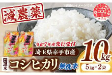 【無洗米】先行受付 令和7年産 開運米 コシヒカリ（減農薬）幸手産 - 5kg×2袋 10kg 先行 予約 新米 新米予約 先行予約 2025年発送 こしひかり 福祉 応援 安心 安全 埼玉県 幸手市 幸手市産