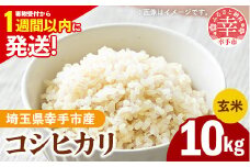 令和6年産 幸手市産 コシヒカリ 玄米10kg 色彩選別済 Brown Rice - お米 米 こしひかり 玄米 10kg 埼玉県 幸手市【価格改定】