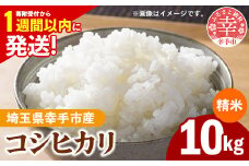 令和6年産 幸手市産 コシヒカリ 白米10kg 色彩選別済 White Rice-  お米 米 こしひかり 精米 10kg 埼玉県 幸手市【価格改定】