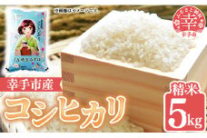 令和6年度産 コシヒカリ 5kg - こしひかり 5kg 令和６年産 精米 埼玉県 幸手市 幸手市産