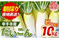 【きあり農園】幸手市産 大根 10kg - 朝採れ ダイコン だいこん 産地直送 野菜 ベジタブル 美味しい おいしい 冬野菜 煮物 鍋 おでん おすすめ 送料無料 埼玉県 幸手市