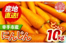 【きあり農園】幸手市産 人参 10kg - 採れたて にんじん ニンジン 産地直送 野菜 ベジタブル 美味しい おいしい 根菜 煮物 炒め物 カレー サラダ おすすめ 送料無料 埼玉県 幸手市