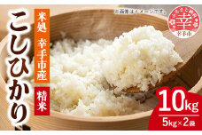 令和7年幸手産 こしひかり【精米】5㎏×2袋 - コシヒカリ 精米 10kg 令和7年産 埼玉県 幸手市 幸手市産