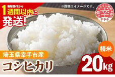 令和7年産 幸手市産 コシヒカリ 白米20kg 色彩選別済 White Rice-  お米 米 こしひかり 精米 20kg 埼玉県 幸手市