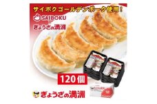 C001-25　プレミアム冷凍餃子120個（SAIBOKU×ぎょうざの満洲）