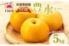 [№5712-0659]秋葉果樹園 特選梨 豊水 5kg 梨 果物 なし くだもの フルーツ 贈答用 旬 ナシ 産地直送 国産 家庭用 人気 グルメ お取り寄せ ジューシー 果汁 みずみずしい 果実 デザート 日高市