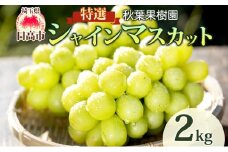 [№5712-0661]秋葉果樹園 特選 シャインマスカット 2kg 2～4房入り ぶどう 種無し 皮ごと 葡萄 果物 甘み 完熟 フルーツ 旬 もぎたて ギフト 贈答用 お取り寄せ 贈り物 ご褒美 贅沢 特産品 日高市