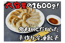 008-008　新美味　点心餃子