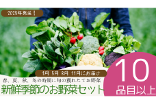 040-002 【2025年１月以降順次発送】新鮮季節のお野菜セット年4回（江戸川極み野菜）