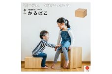 049-001　軽量家具　かるばこ（高さ20cm）
