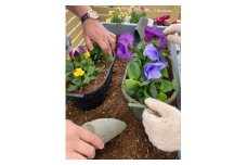 010-071　寄せ植え体験