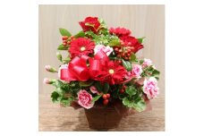 ＜レッド系:バラ、ガーベラ+季節のお花＞生花アレンジメント【1379830】