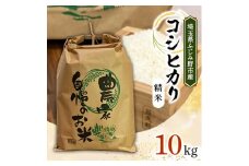 ＜令和6年産＞コシヒカリ 10kg 精米＜埼玉県ふじみ野市産＞【1506706】