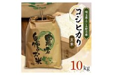 ＜令和6年産＞コシヒカリ 10kg 玄米＜埼玉県ふじみ野市産＞【1506709】