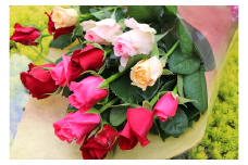 【約15本】生産者直送　有機栽培で育った朝切りバラの花束　【11246-0046】