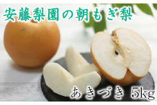 白岡　安藤梨園の朝もぎ梨　あきづき　約5kg　【11246-0054】