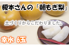【幸水（3L～4L）6玉】土づくりからこだわる！榎本さんの「朝もぎ梨」　【11246-0061】