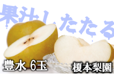 果汁したたる榎本梨園自慢の完熟梨　豊水6玉（3L～4L）　【11246-0062】