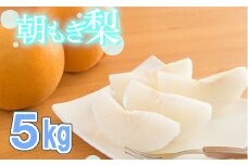 100年の歴史！！　アライファームの「朝もぎ梨」幸水・豊水・あきづき 約5kg　【11246-0064】