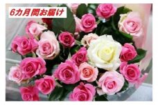 【20本×6カ月】生産者直送　有機栽培で育った朝切りバラの花束　花の定期便　【11246-0076】