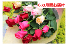 【約15本×6カ月】生産者直送　有機栽培で育った朝切りバラの花束　花の定期便　【11246-0338】