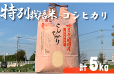 ＜令和6年産＞特別栽培米　コシヒカリ　5kg　【11246-0108】