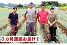 【3ヶ月連続お届け】関田農園の「厳選　長ねぎ（泥付き）」箱3kg×3回　美味しい定期便　【11246-0111】