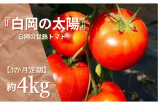 【3か月定期便】甘熟トマト『白岡の太陽』約4kg×3か月　【11246-0122】