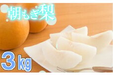 100年の歴史！！　アライファームの「朝もぎ梨」幸水・豊水・あきづき 約3kg　【11246-0147】