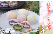 和菓子みか登　生クリーム大福8種　【11246-0155】