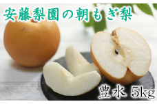 白岡　安藤梨園の朝もぎ梨　豊水　約5kg　【11246-0148】