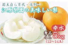 江原梨園の美味しい梨　約5kg　幸水　【11246-0151】