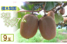 ヘイワード　大玉プレミアムキウイ　9玉　【11246-0165】
