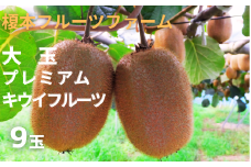 ヘイワード　大玉プレミアムキウイ　9玉　【11246-0165】