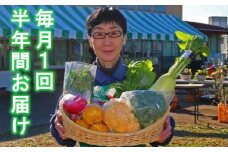 厳選・「おおばん市場」旬の野菜詰め合わせ　毎月1回半年間お届け定期便　【11246-0172】