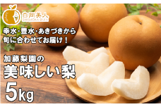 加藤梨園の美味しい梨　約5kg　幸水・豊水・あきづき　【11246-0184】