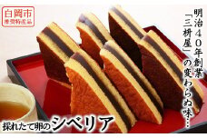 白岡市推奨特産品　明治40年創業「三枡屋」の採れたて卵のシベリア　【11246-0192】