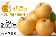 八木澤農園の美味しい梨　約3kg（糖度保証）　幸水・豊水・あきづき　【11246-0268】