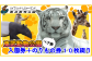 入園券＋のりもの券１０枚綴り（ペア）