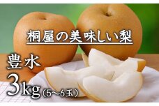 梨作り50余年！桐屋（やぎさわ梨園）の美味しい梨（豊水）3kg（糖度保証）　【11246-0278】