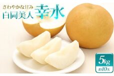 小川梨園の梨　幸水　5kg　【11246-0274】