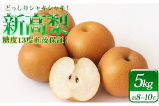 小山農園の新高梨　5kg　糖度13度前後保証　【11246-0275】