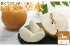 白岡ちば果樹園の樹上完熟　幸水　5kg　【11246-0276】